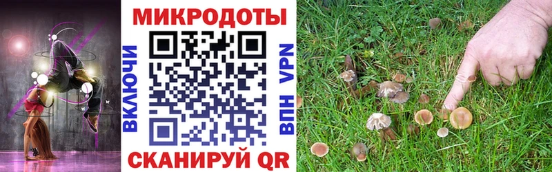 Купить где  Николаевск  Галлюциногенные грибы MAGIC MUSHROOMS 
