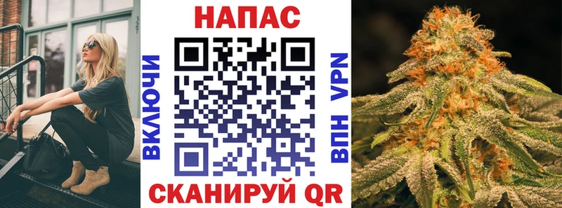 Шишки марихуана семена  Купить  Николаевск 